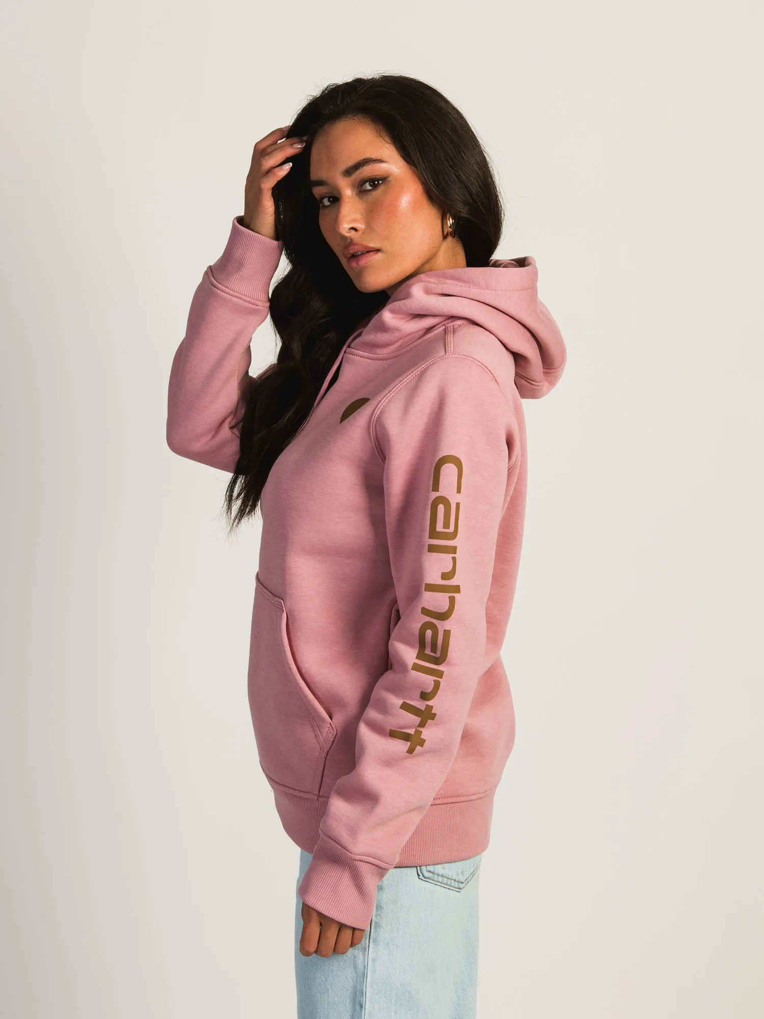 CARHARTT LOGO SLV PULLOVER HOODIE