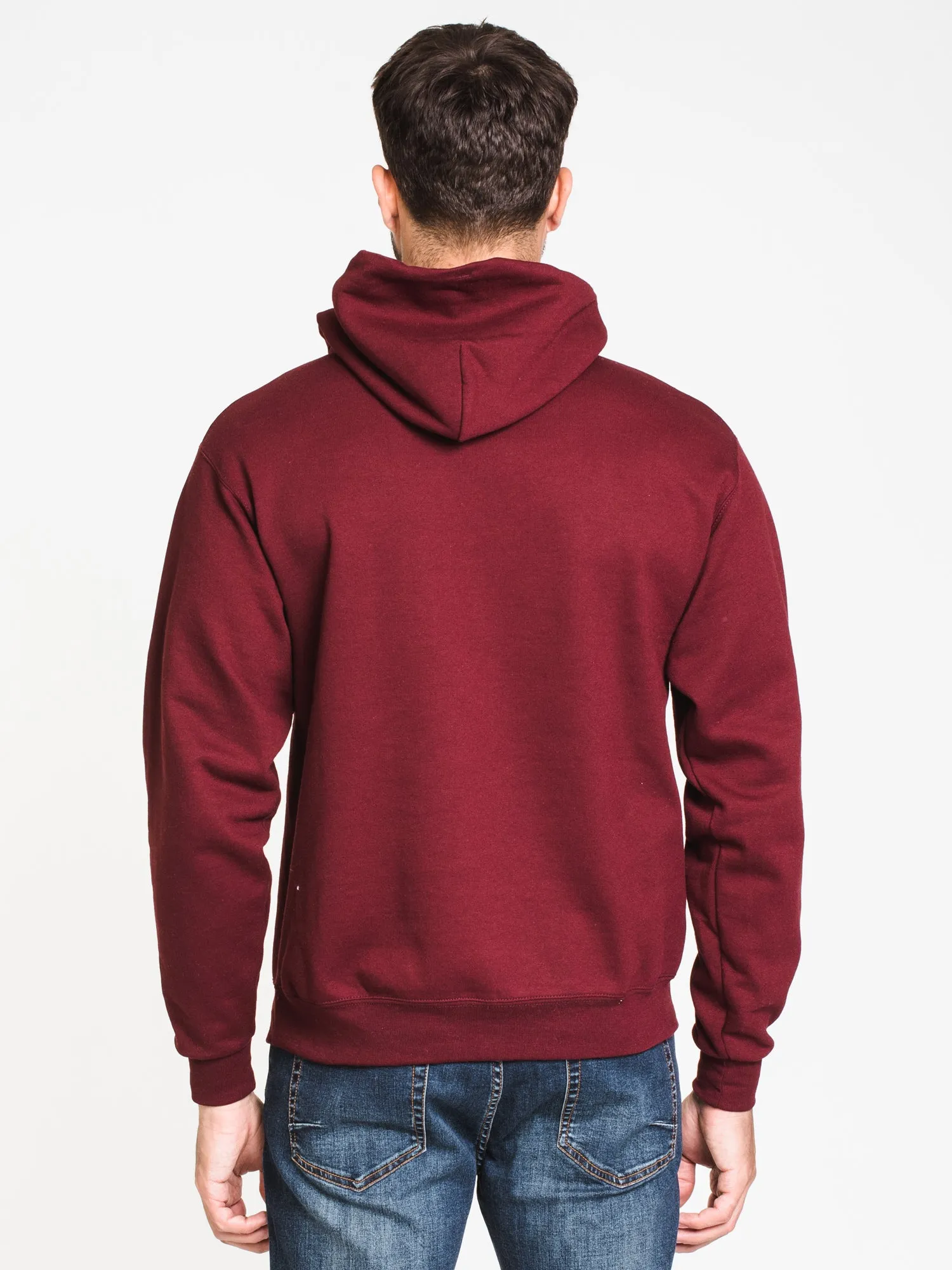 CHAMPION ECO POWERBLEND HARVARD UNIVERSITY HOODIE - CLEARANCE