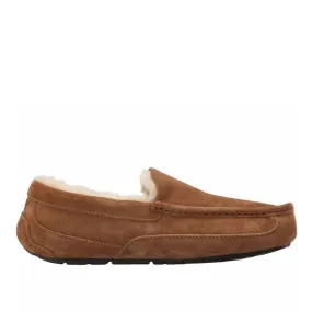 UGG Ascot 1101110 (Chestnut)